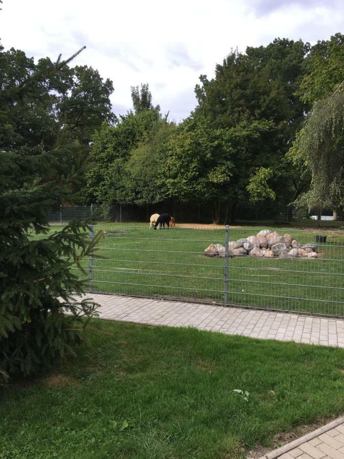 Ferienwohnung Im Park 1 Lenschow 외부 사진